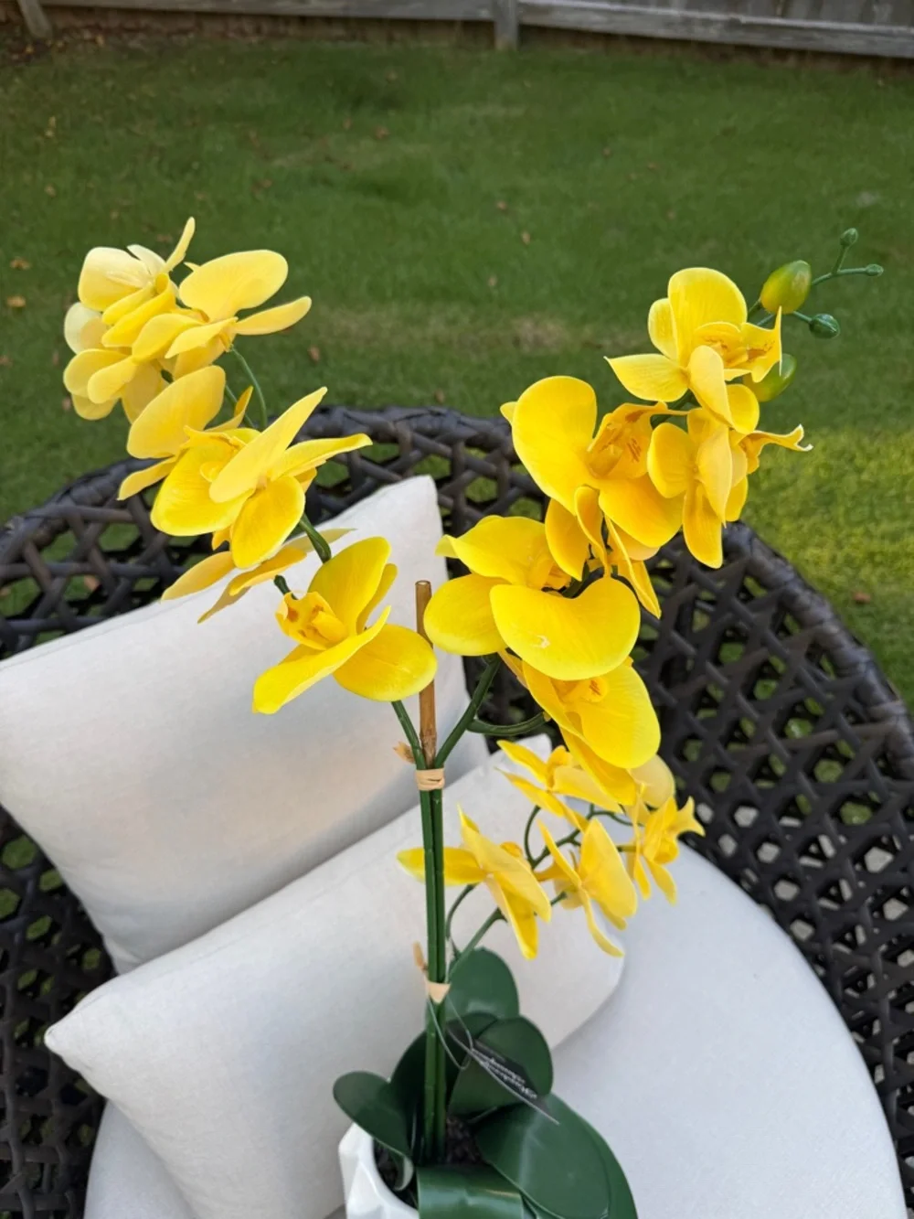 Yellow Faux Orchid in White Ceramic Vase - Home Accents